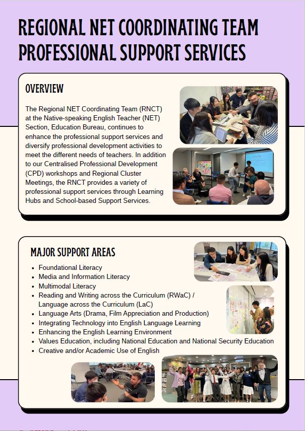 Brochure: Professional Support Services